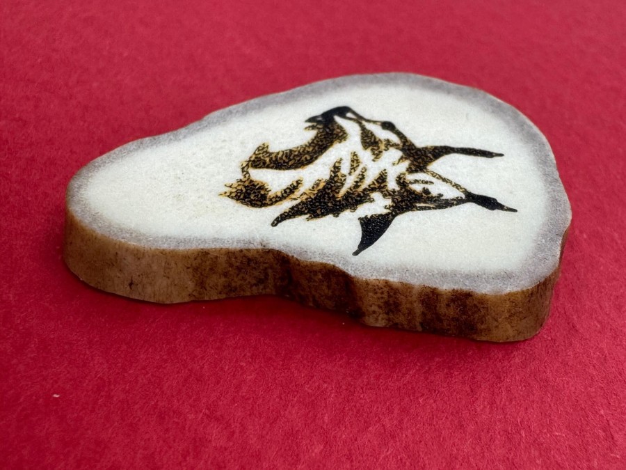 Elnio rago ženkliukas