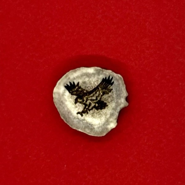 Elnio rago ženkliukas