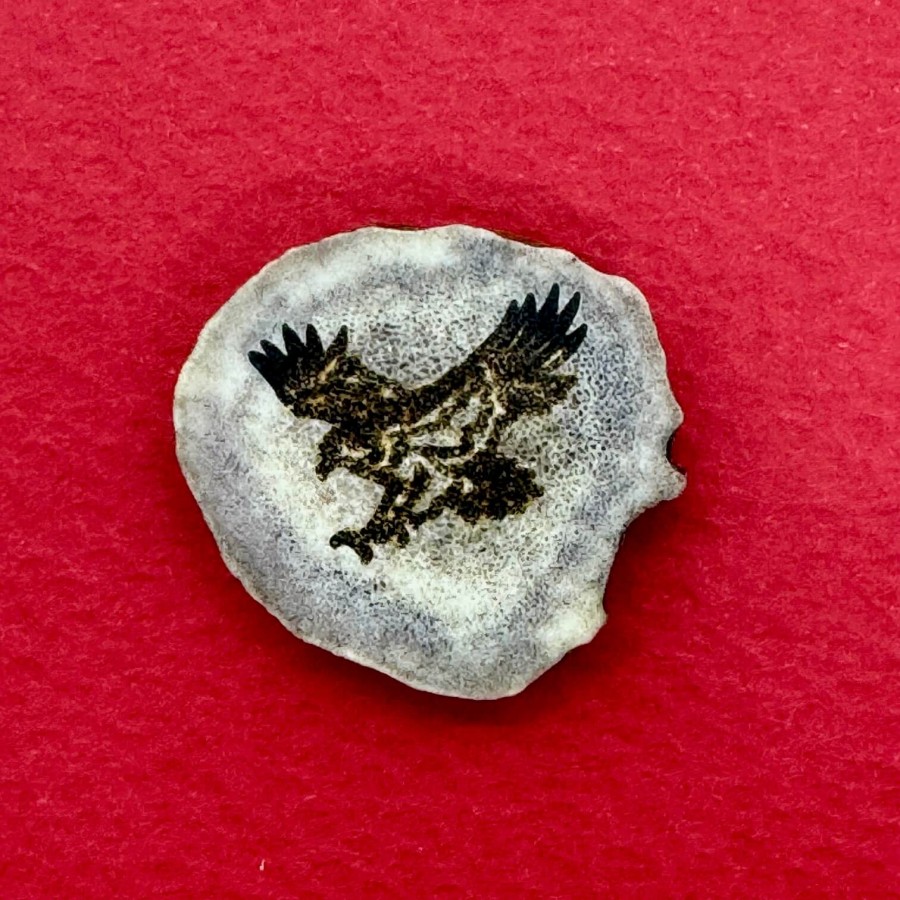 Elnio rago ženkliukas