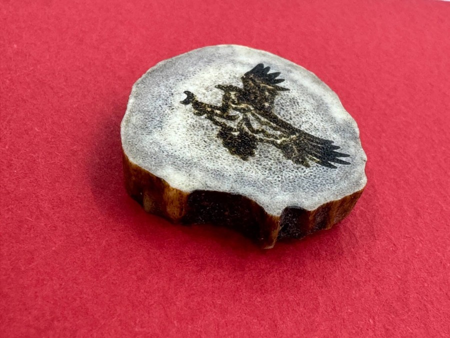 Elnio rago ženkliukas