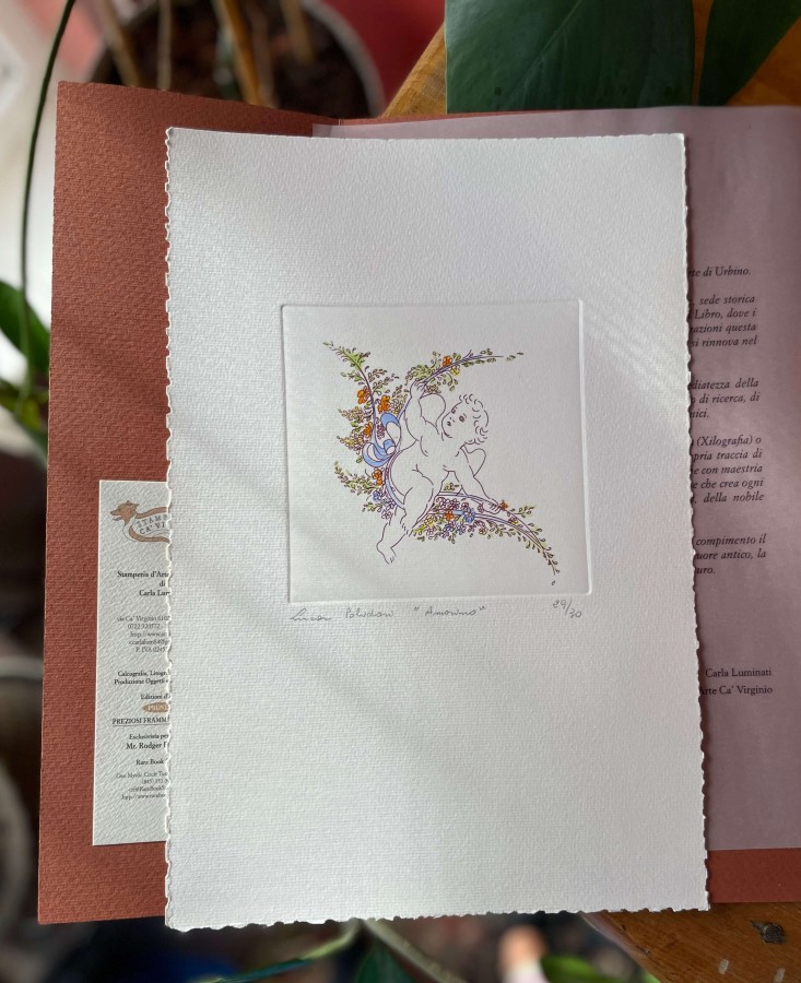 Grafikos darbas voke