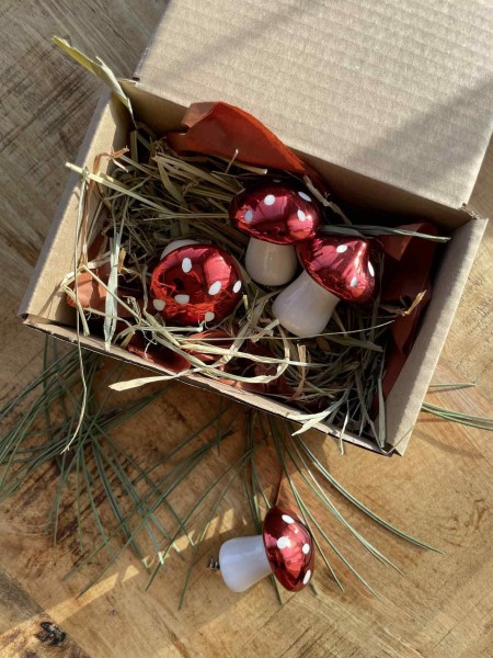 Grybukai eglutei (3 vnt.)