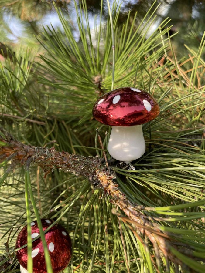 Grybukai eglutei (3 vnt.)