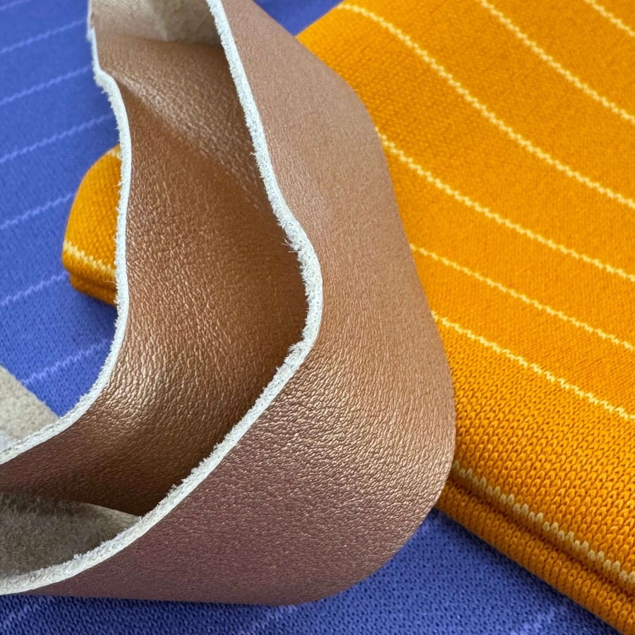 Krepšys su pinigine